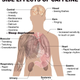 Image for article titled Caffeine is actually slowing you down